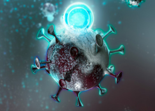 N2 CLINIC ホテル椿山荘東京院