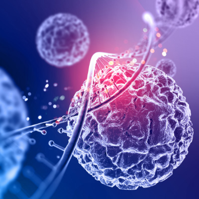 N2 CLINIC ホテル椿山荘東京院