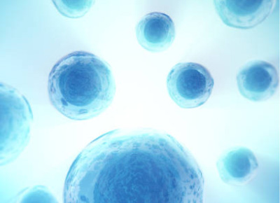 ヒトEGF(上皮成長因子)の構造