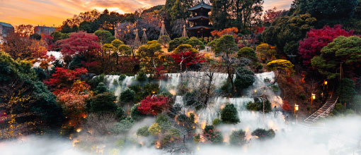 N2 CLINIC ホテル椿山荘東京院